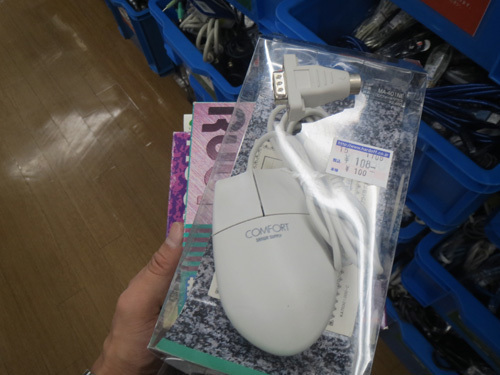 ichikawa7.jpg