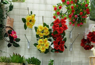 pic10_6.jpg