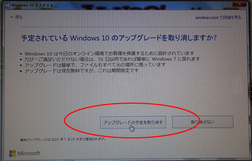 upo2.jpg
